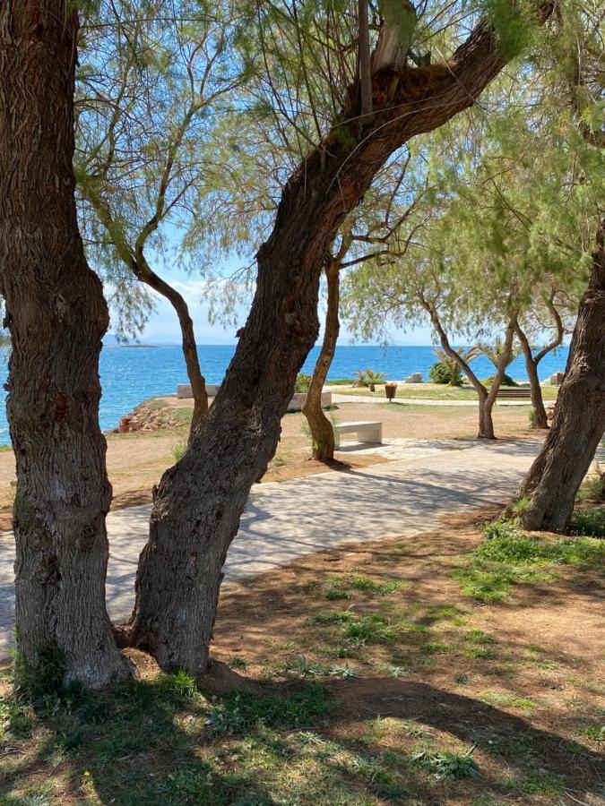 Athens-Riviera Luxury Apartment Sea View Voula Dış mekan fotoğraf